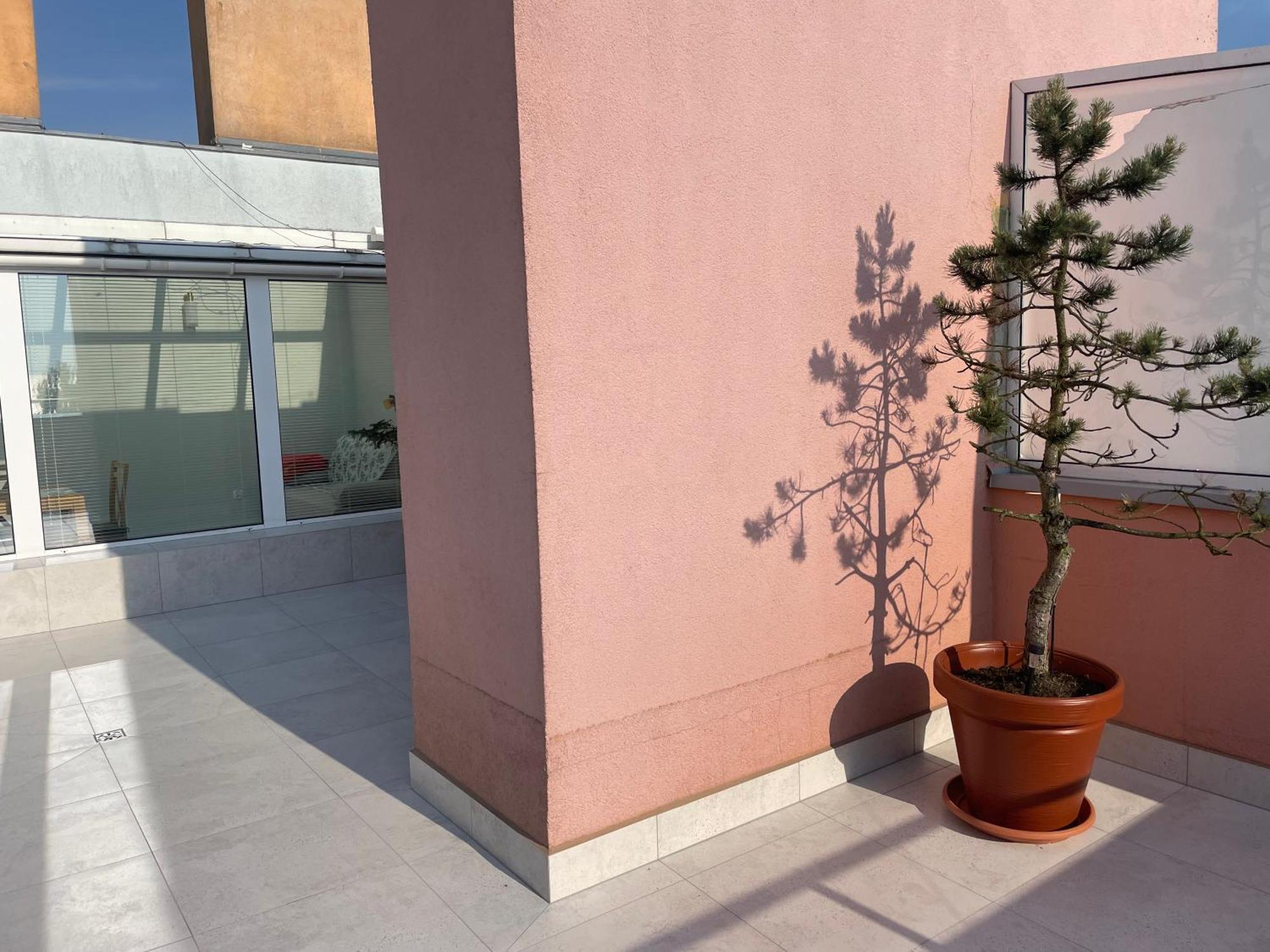 Wolin-Travel Fala Apartamenty Z Widokiem Na Morze 미엥지즈드로예 외부 사진